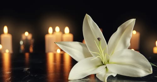 Brandon Leavell Shooting, Brazos, TX Death, Obituary